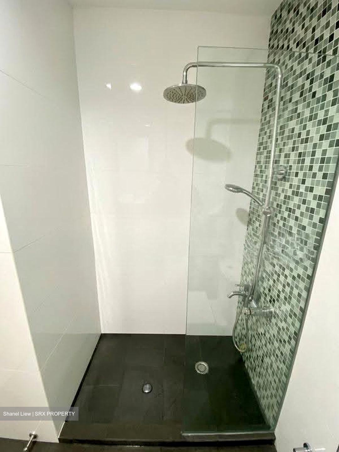 Opal Suites (D12), Apartment #637568891